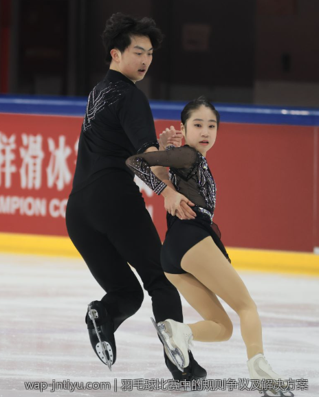 羽毛球比赛中的规则争议及解决方案